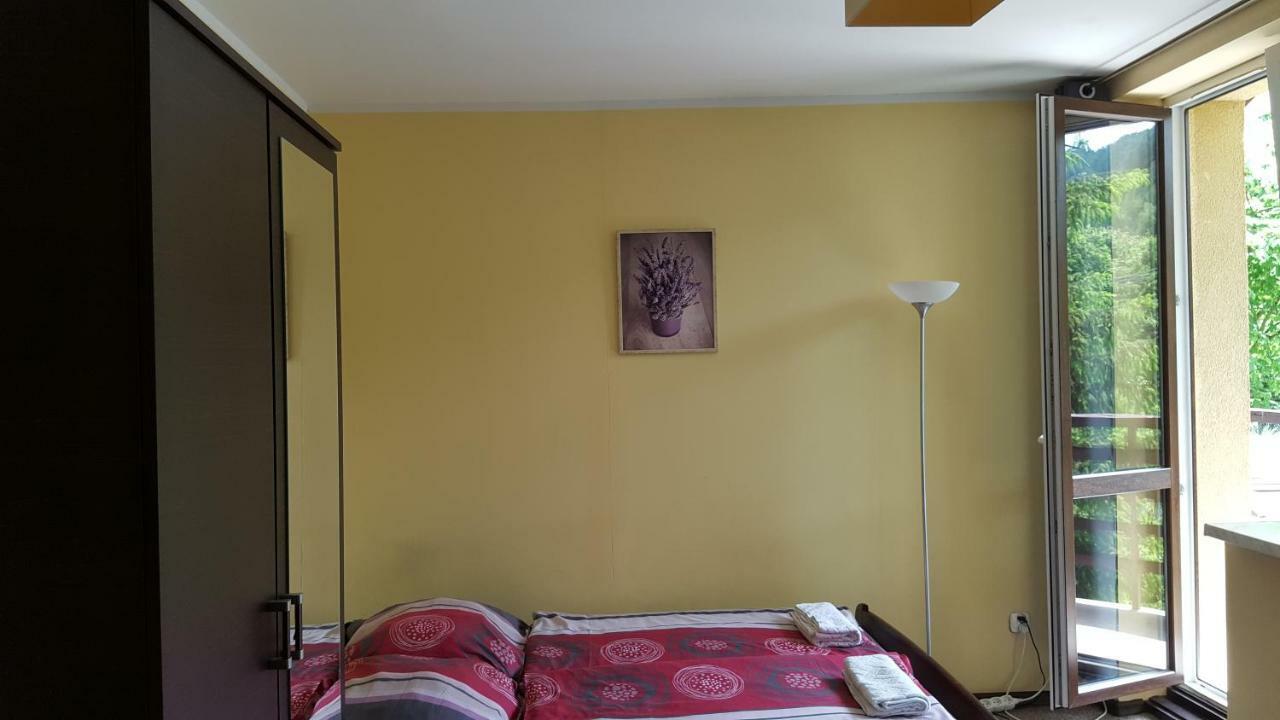 Niezapominajka Bed and Breakfast Szczyrk Buitenkant foto