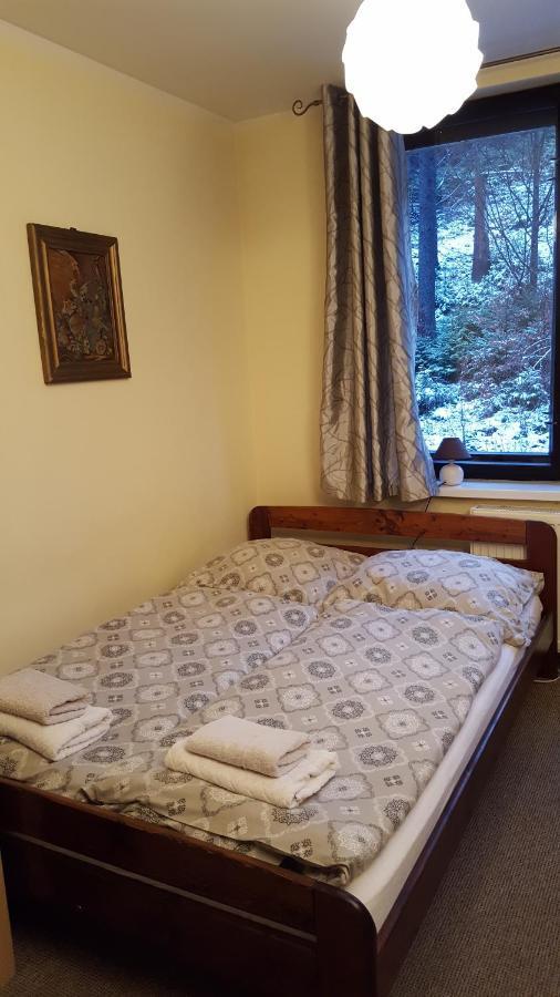 Niezapominajka Bed and Breakfast Szczyrk Buitenkant foto