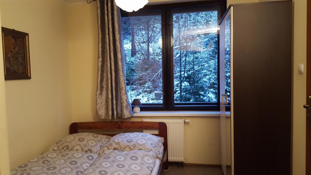 Niezapominajka Bed and Breakfast Szczyrk Buitenkant foto