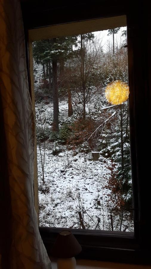 Niezapominajka Bed and Breakfast Szczyrk Buitenkant foto